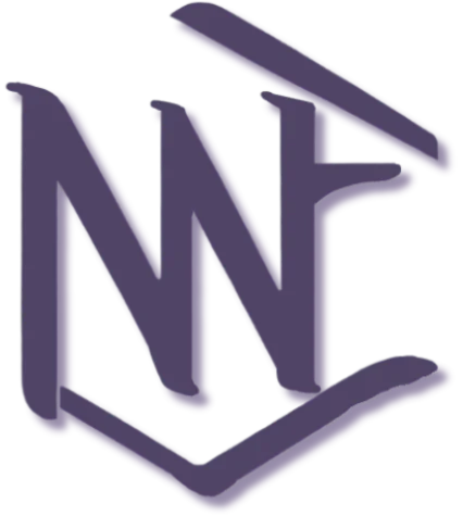 Net Wealth Finance