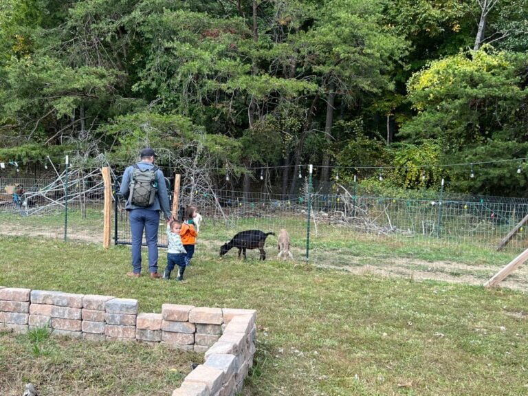 Ways to Determine Life Insurance Needs